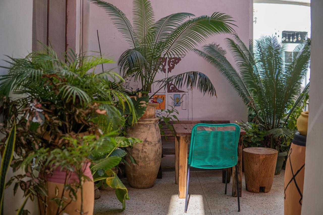 Tarawanda House -Thrivestawi Bed & Breakfast Zanzibar Dış mekan fotoğraf